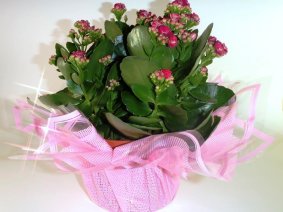 Decoration of flowers 62