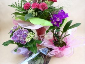 Decoration of flowers 53